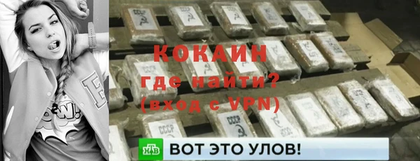 шишки Няндома