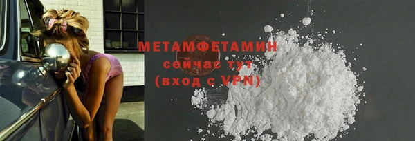 шишки Няндома