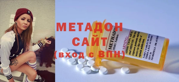 шишки Няндома
