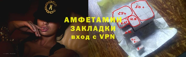 шишки Няндома