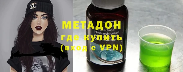 шишки Няндома