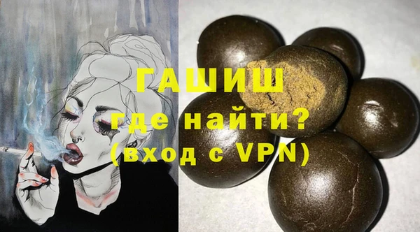 шишки Няндома