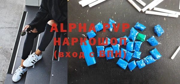 шишки Няндома