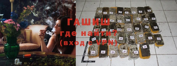 шишки Няндома