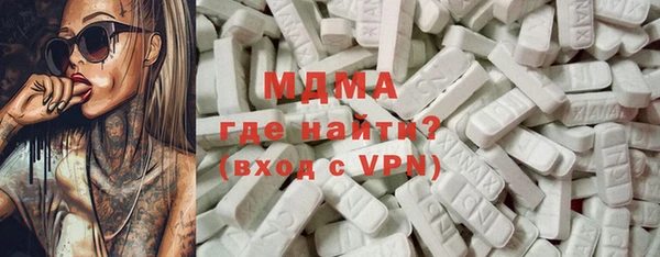 шишки Няндома