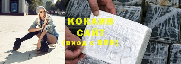 шишки Няндома