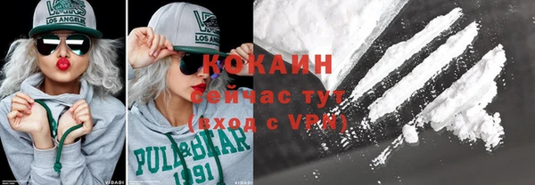 шишки Няндома