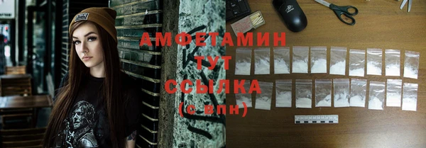 шишки Няндома