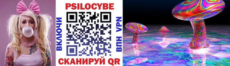 Галлюциногенные грибы Psilocybe  Свободный 