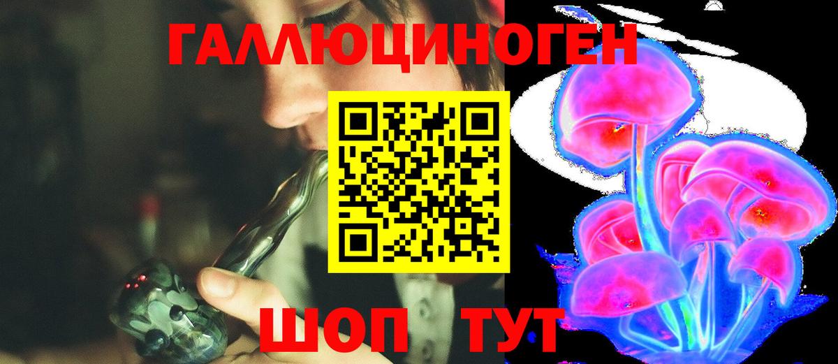 Свободный  Псилоцибиновые грибы Psilocybe  Вход с VPN 