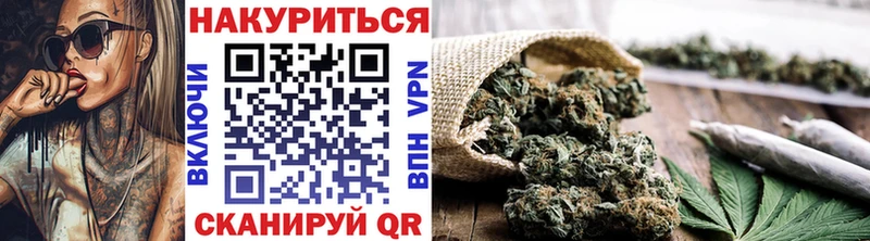 купить  цена  Свободный  Канабис конопля 